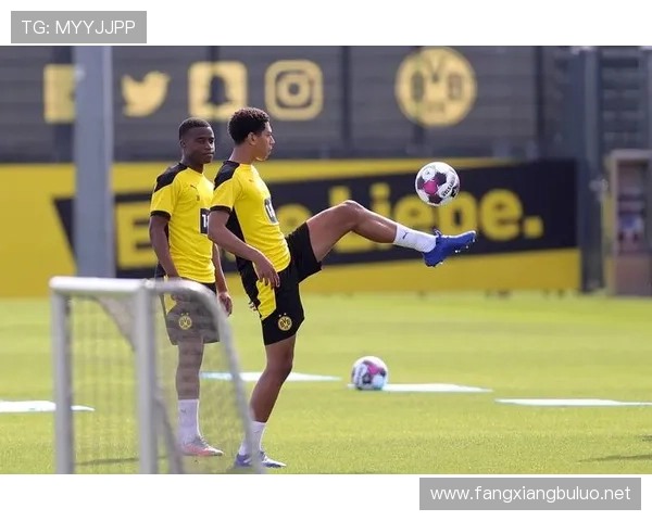 体育生德甲联赛（德甲青训体系）sports